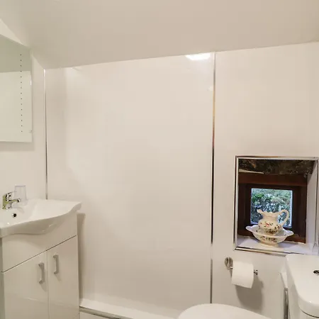 度假居 The Old Barn 瓦斯代尔下城